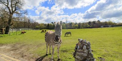 West Midlands Safari Park