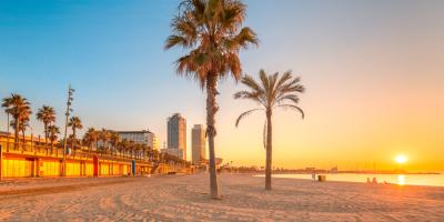 Sandy beach with palm trees and the sun setting over the horizon