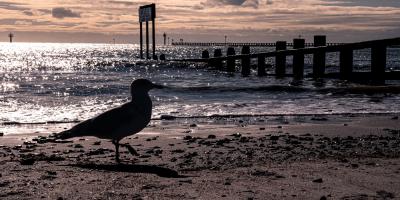 Littlehampton beach 