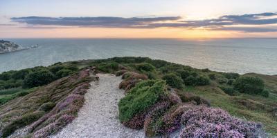 Headon Warren at sunset, near Totland