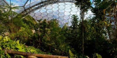 Eden Project