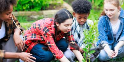 Children farming