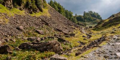 Rocky track in the countryside with rolling hills and trees