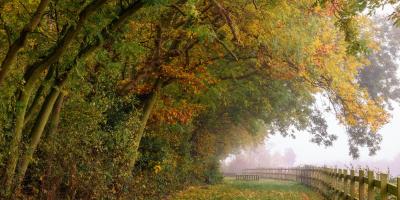 Capstone Farm Country Park