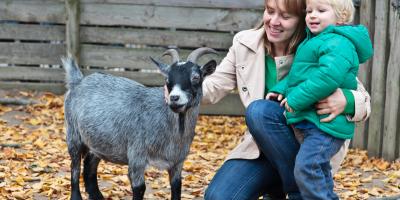 Farm showing family petting a goat