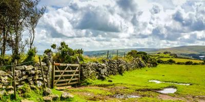 Dartmoor view