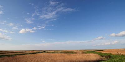 Cley next the sea, nature reserve marshes