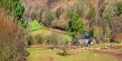 YHA Brecon Beacons Danywenallt view