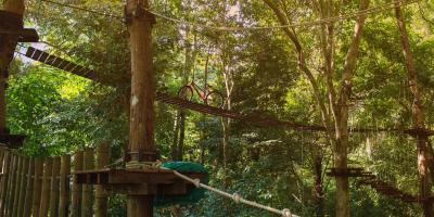 Go Ape - Forest of Dean