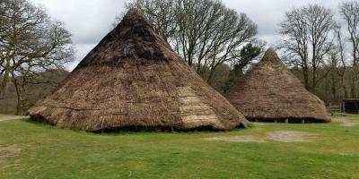 Thatched huts at Castell Henllys