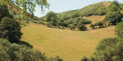 YHA All Stretton Bunkhouse view