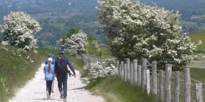 Family walking down a country lane with countryside views in the background