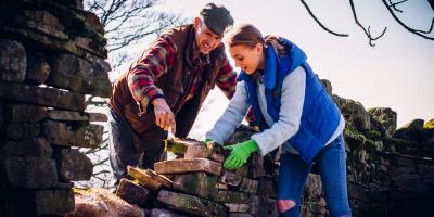 Instructing a youngster how to drystone wall