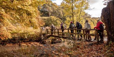 Group of walkers going over a bridge with autumnal landscape