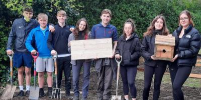 Group of young volunteers gardening