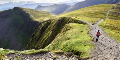 A hiker and their dog walking down from the summit of Hopegill Head