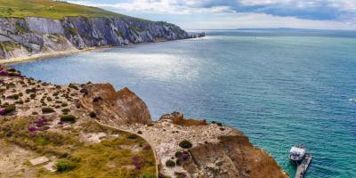 Isle of Wight coast from the cliff top