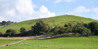 Malham countryside in Summer with sheep in fields 