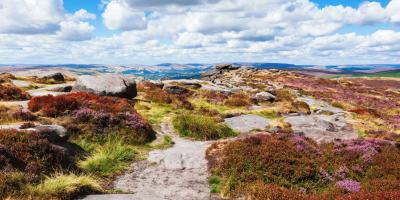 Peak District National Park, Derbyshire, England. Rocks and heather fields in Stanage edge, selective focus