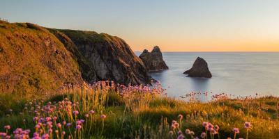 Pembrokeshire coast at sunset