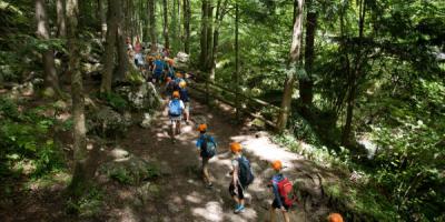 School group walking in forest