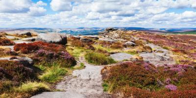 Peak District National Park, Derbyshire, England. Rocks and heather fields in Stanage edge, selective focus