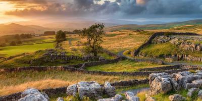 Sunrise over a countryside landscape with trees and boulders