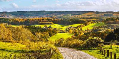 View over the countryside with rolling hills and tress