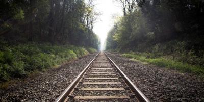 Train tracks surrounded by green leafy trees