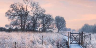 Wintery English countryside in the early morning with pink sky