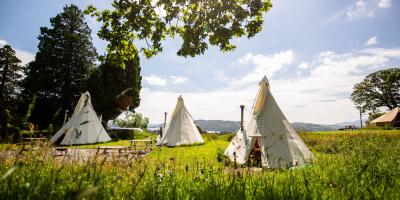 Three tipi's in a field at YHA Windermere