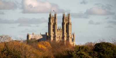 Grand cathedral building emerging from trees