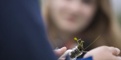 Pupil taking samples of grass