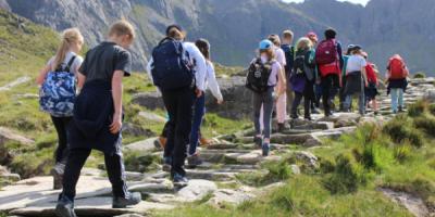 Primary school children on a hike