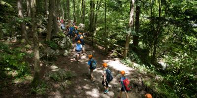 Children walking in a forest in a single line