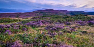 Simonside Hills Northumberland view