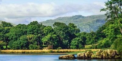 Ambleside lake view