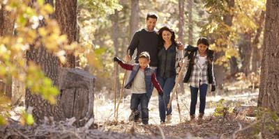 Family walking in the woods