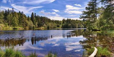 The Tarn Hows Loop