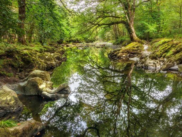 Stream near Betws-y-Coed, Snowdonia