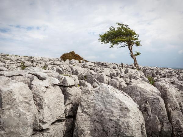 Climbing in Ingleton 