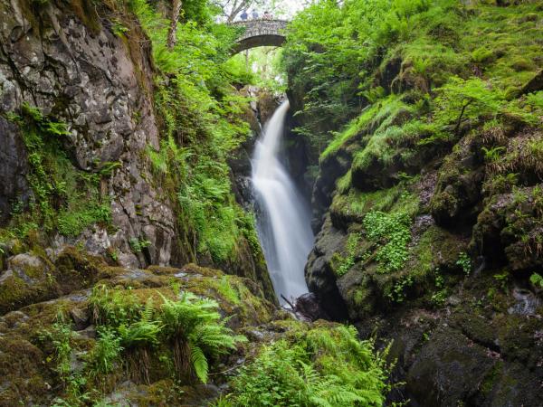 View of Aira Force Waterfalls