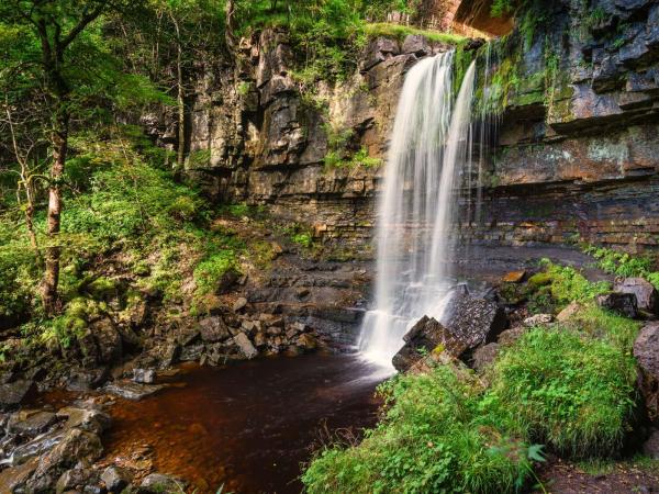 Ashgill Force