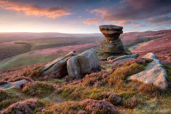 View of heather moorland in the Peak District