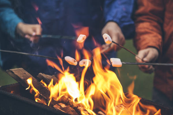 Family camping and toasting marshmellows over fire